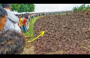 Incredible Moments Caught on Camera