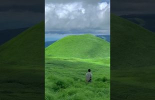 Just me and the wind, vibing in this sea of green 🍃🏔️   wind tunnel