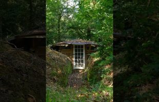 Semi-Buried Cabins Are Amazing! 🤩 #cabin #offgrid