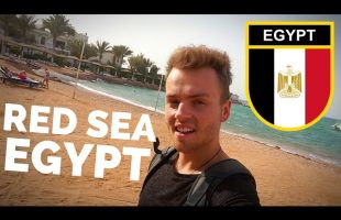Travel to THE RED SEA // Hurghada, Egypt مصر