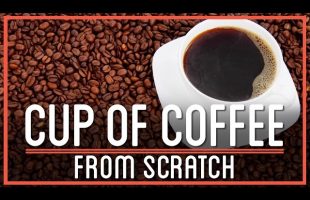 Would you Travel 5,000 Miles For a Cup of Coffee?