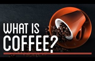 What is Coffee?  | How to Make Everything: Coffee