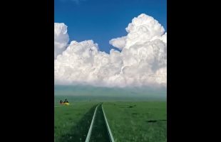 Let yourself drift with nature