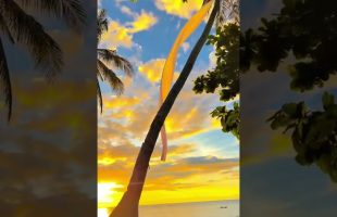 Immerse yourself in the blue water