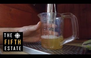 The Pour : Treating Alcoholics with Wine – the fifth estate
