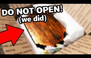 Opening A $30 Demon In A Box From eBay (DYBBUK BOX)