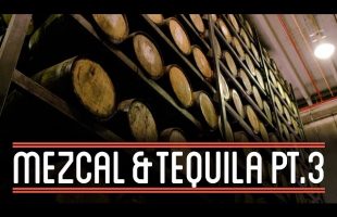 Fermenting & Distilling Tequila (3/3) | How to Brew Everything: Mezcal and Tequila