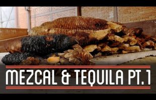 Mezcal and Tequila (1/3) | How to Brew Everything