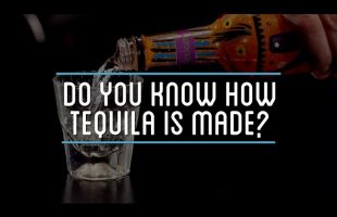 Do You Know How Tequila Is Made?