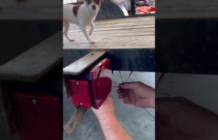 Finishing Up the Trailer Rewire