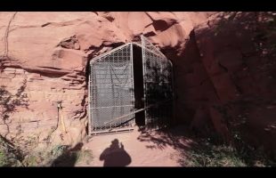 We Found A SECRET Underground Survival Tunnel System