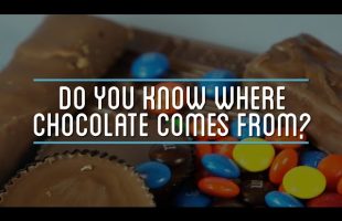 Do You Know Where Chocolate Comes From?