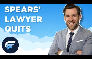 Updates in the Britney Spears Case #shorts