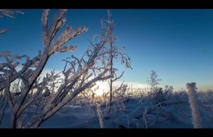Truth Isolation – Bill Cooper