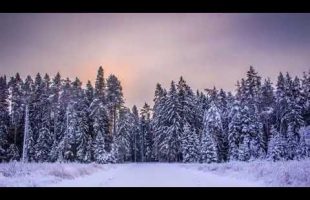 Transition – Bill Cooper