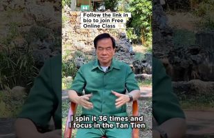 Unlock the Taoist Circuit of Energy💫