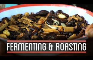 Fermenting & Roasting | How to Make Everything: Chocolate Bar