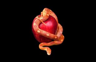 Brotherhood Of The Snake – Bill Cooper