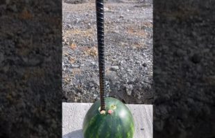 Rebar Safety- These Caps are Quick and Easy to Install