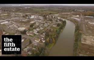 No Foul Play : Death in Thunder Bay – The Case of Stacy DeBungee – the fifth estate