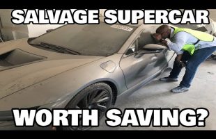 Barn Yard find: Ruined Supercar
