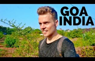 🌴GOA IS CRAZY | India Travel🌴