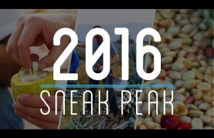 How to Make Everything: 2016 Sneak Peek