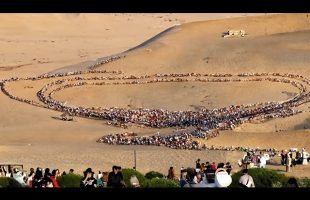 Incredible Moments Caught on Camera
