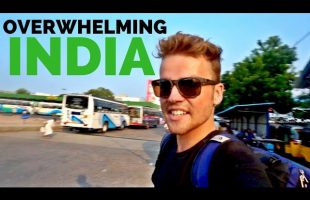 INDIA IS OVERWHELMING 😵