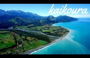 TRAVEL NEW ZEALAND | Inspiration