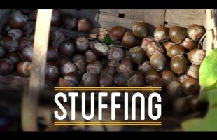 Stuffing | How to Make Everything: Thanksgiving Dinner (4/5)