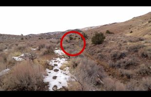 WHY ARE THESE IN THE CREEK BED?
