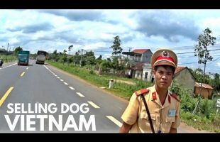 SELLING DOG AT  A VIETNAM MARKET