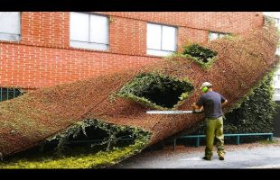 Satisfying Videos of Workers Doing Their Job Perfectly