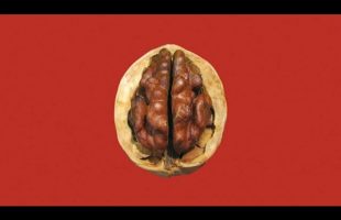 Food For Thought – Bill Cooper