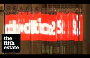 Maru Oropesa & Scotiabank : Murder and the Money Trail in Mexico – the fifth estate