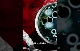 The True Danger of Nuclear War #shorts