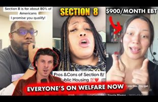 Why Bother Working For a Living …. Public Assistance Game