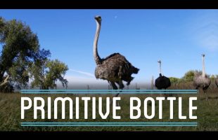 Ostrich Egg and Bottle Gourd Primitive Bottles | How To Make Everything: Bottle (2/4)