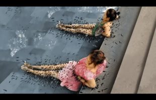 Incredible Moments Caught on Camera