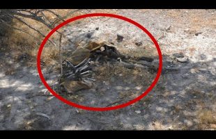 WARNING *DISTURBING* Wait Until You See What I Found In This Remote ABANDONED Trailer
