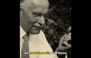 Carl Jung’s Influence on Lord of the Rings