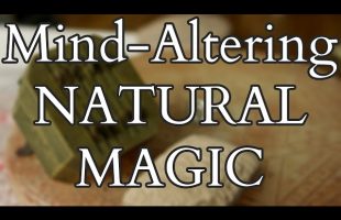 Psychedelic Natural Magic – Potions from the 1558 Magiae Naturalis of Giambattista della Porta