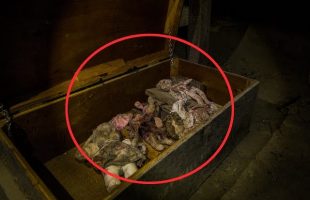 ABANDONED SHACK OF HELL Found CREEPY Stuff Inside