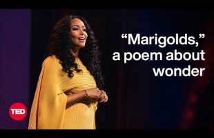 “Marigolds,” a Poem About Wonder | Safiya Sinclair | TED