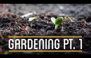 Gardening Pt. 1 | How to Make Everything: Sandwich (2/12)