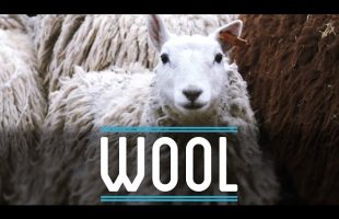 Wool | How To Make Everything: Suit (3/10)