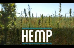 Hemp | How To Make Everything: Suit (1/10)