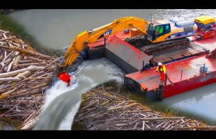 Incredible Moments Caught on Camera