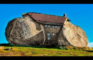 People Laughed at His House, Until They Went Inside